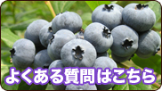 よくある質問はこちら