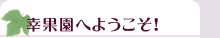 �悤�����I