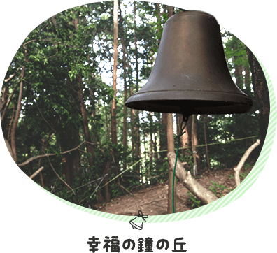 遊び 愛知県岡崎市 ぶどう狩 ブルーベリー狩 ｂｂｑ ブドウ直売の幸果園