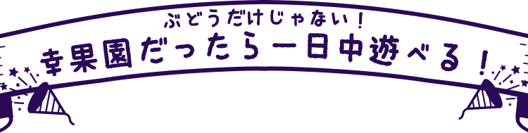 ぶどうだけじゃない！幸果園だったら一日中遊べる！