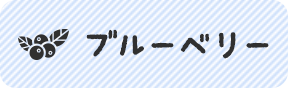 販売ブルーベリーの一覧へ